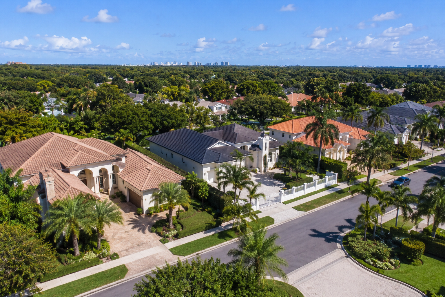 Luxury estate homes in Hollywood Hills, Florida featuring large custom residences, tropical landscaping, palm-lined streets, and upscale residential properties in one of Hollywood's established neighborhoods.